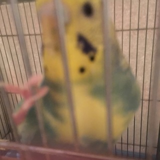 ありがとうございました！