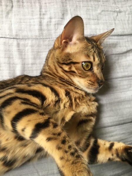 オリ