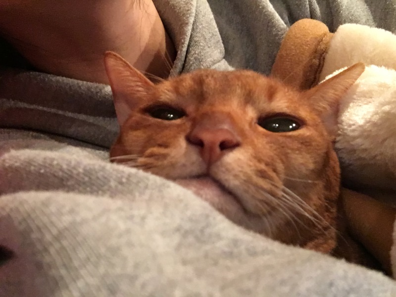 リヤン