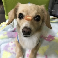 アルン