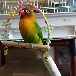 優しい里親様に巡りあえました