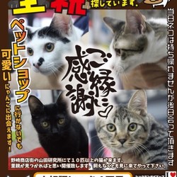 にゃんこのみち主催　第4回 猫の譲渡会
