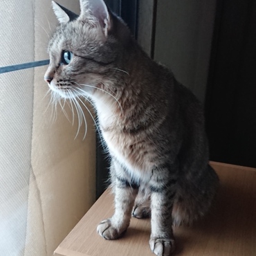 の写真