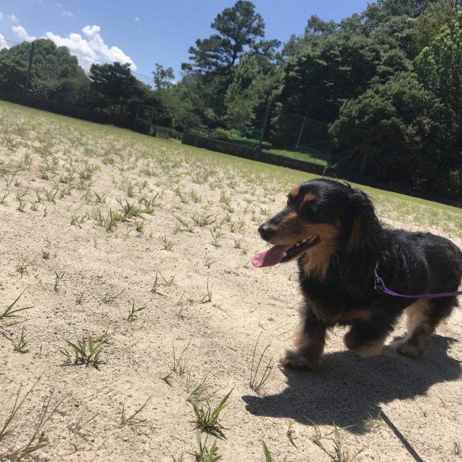 ネーレのカバー写真