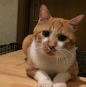 人懐っこくて大人しいひなたくん