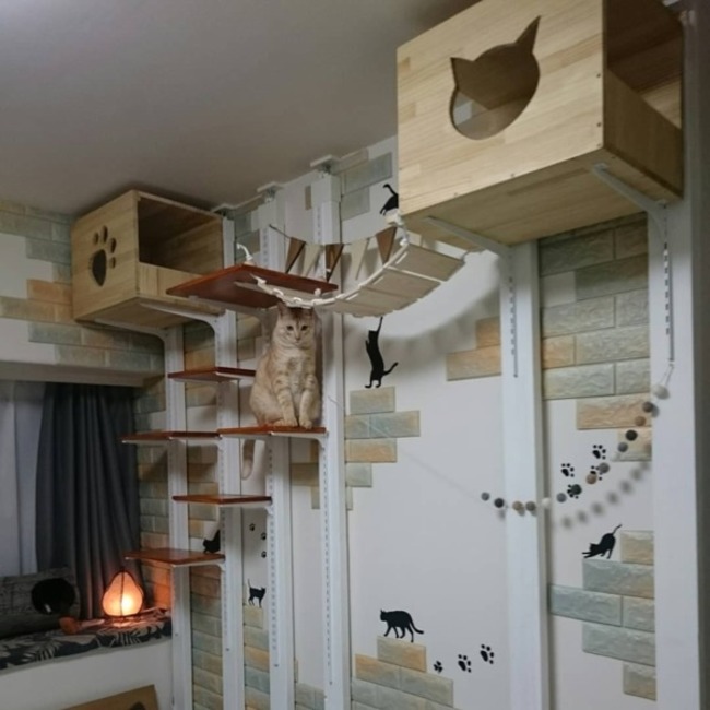 銭助のカバー写真