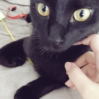 のあ