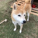 とっても優しい、おとなしい男の子