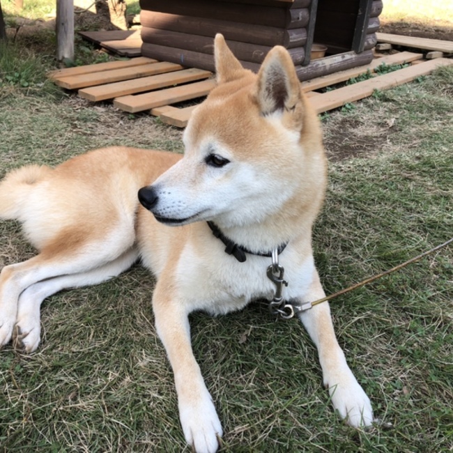 saeri13のカバー写真