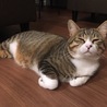 の写真