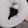 るなまる○