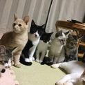 やんちゃな子達です。