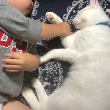 息子に遊ばれるりょうくん笑