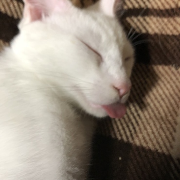 舌出たままだよ！！！笑