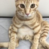 の写真