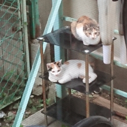 生後4~5ヶ月