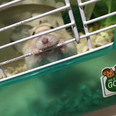 の写真