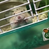 の写真