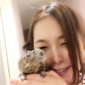 とてつもなくベタ慣れデグー(o^^o)