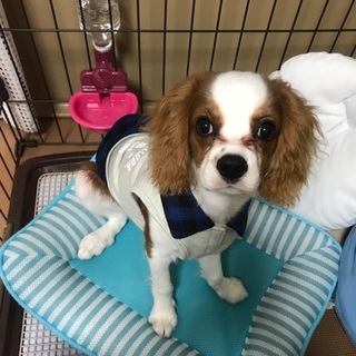 愛嬌たっぷり男の子