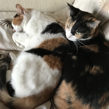 寒くなりましたね