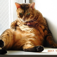 アスラン