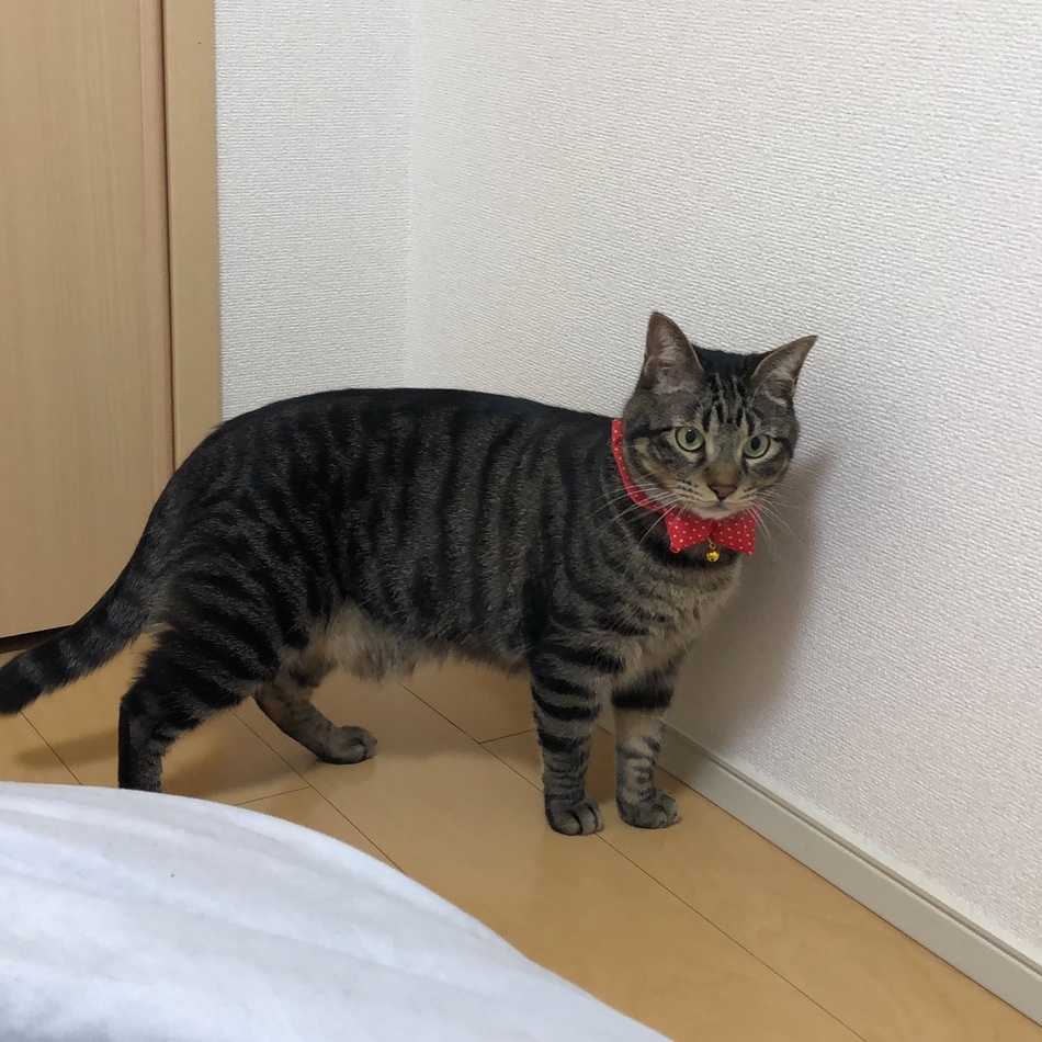 時任のカバー写真