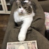 リオン☆