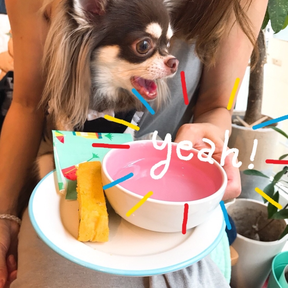 チョコのカバー写真