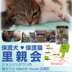 入間ジョンソンタウン保護猫保護犬里親会