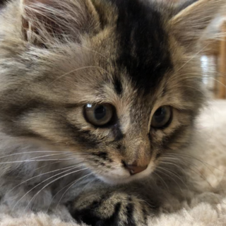 ふわっふわ可愛い女の子♡