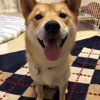 はる