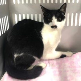 11/20最新動画追加　収容期限11/21朝迄