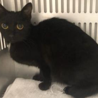 11/20最新動画追加　収容期限11/21朝迄