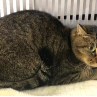 11/20最新動画追加　収容期限11/21朝迄