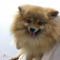 テク