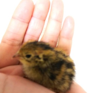 ありがとうございました✨