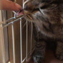 「指から水はでません」サムネイル2