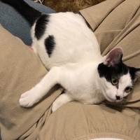 こう