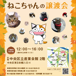ねこざんまい譲渡会＠東日本橋