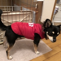 マロ