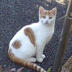 「ルークの贈り物？」サムネイル2