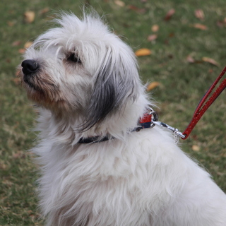 素敵なご縁が見つかりました！