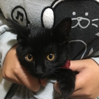 ゴロゴロ甘えん坊☆すだちちゃん3ヶ月
