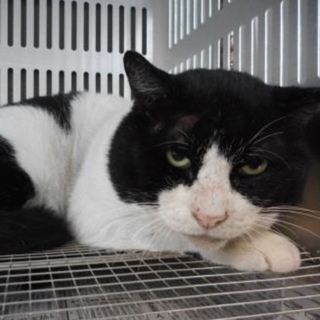 愛護団体様が引き出して下さいました。