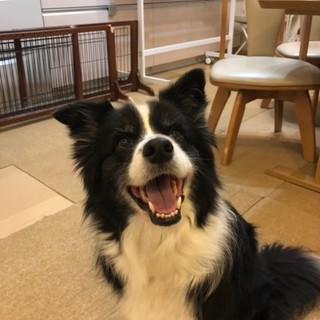 助けてください