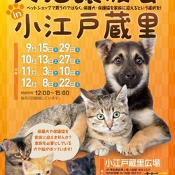 【川越】犬猫譲渡会 in 小江戸蔵里