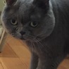 ウイル君