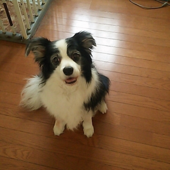 あず820のカバー写真