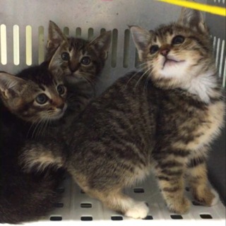 お迎えがありました！有難うございました。